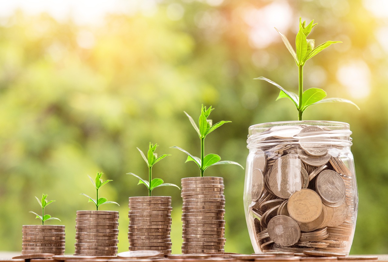 FIDC NPL2: o que é e como funciona esse fundo de investimento