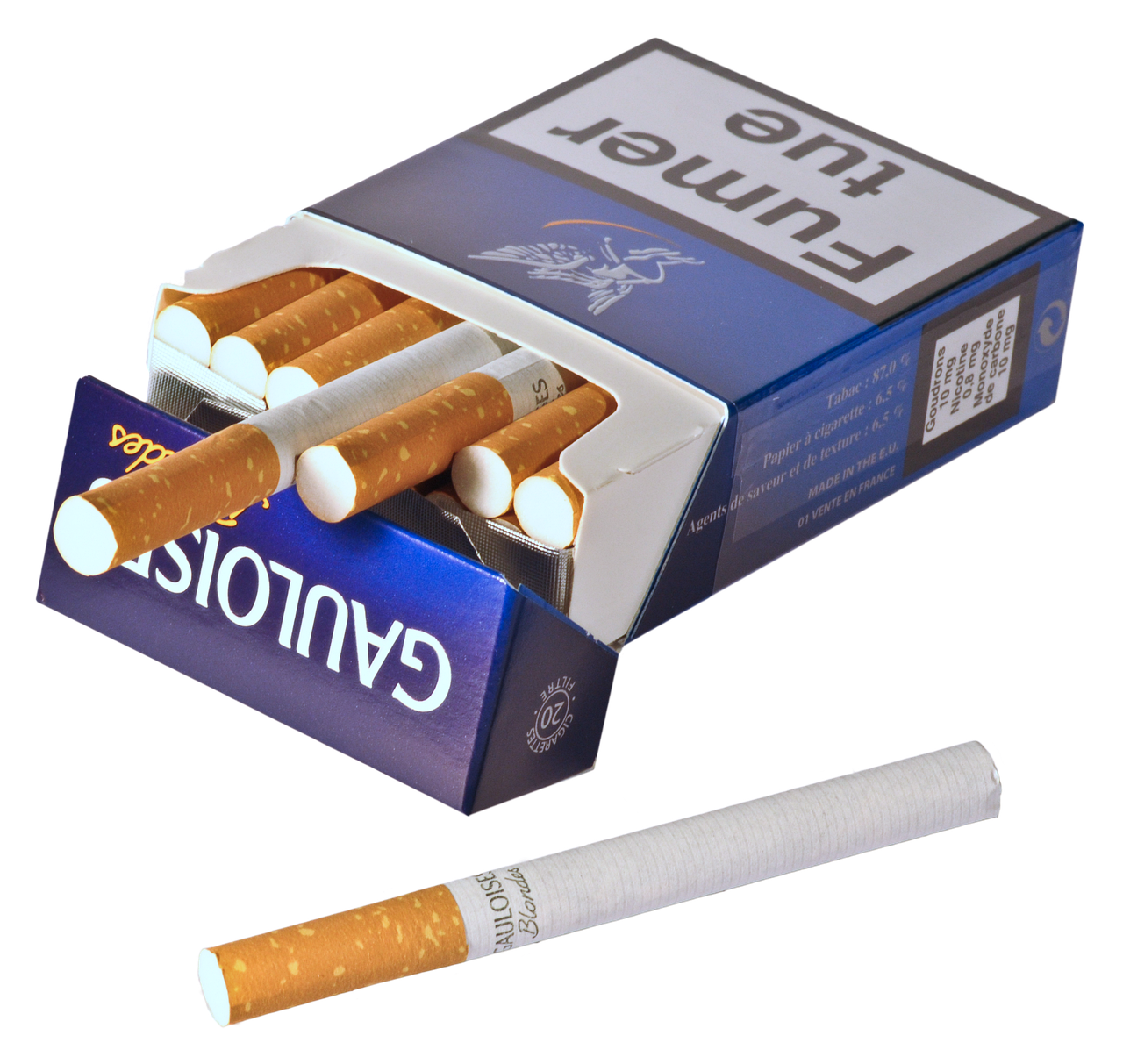 Flash Courier WhatsApp: como rastrear pedidos pelo aplicativo