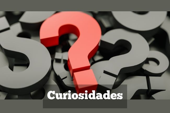 FAQs nas Empresas: Como Implementar para os Funcionários