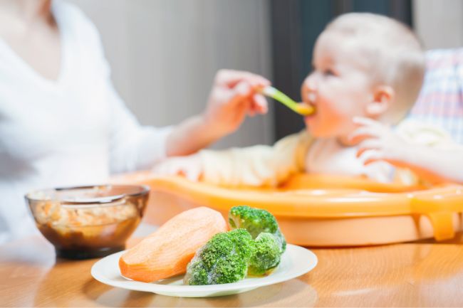 Tipos de Cadeirinhas de Alimentação: Escolha a Melhor para o Seu Bebê