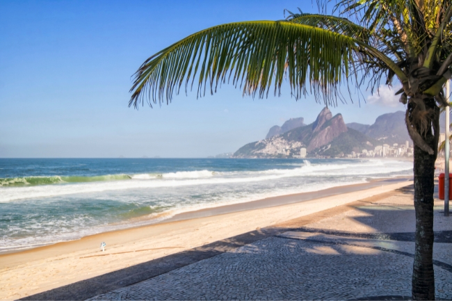 Passeios Ecológicos no Rio de Janeiro: Explore a Biodiversidade Carioca