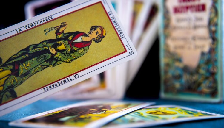 Fortuna de Robinson Shiba: quanto vale o criador do China in Box