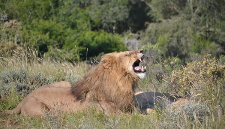 Nomes para vampiros e vampiras: ideias para histórias e jogos