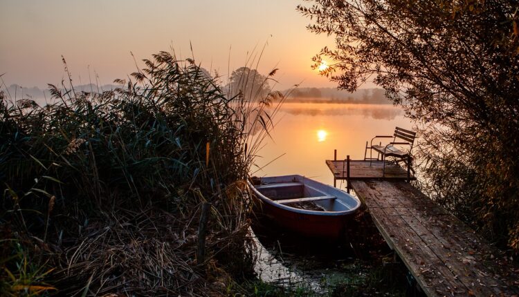 Open channel for BIP: como configurar e usar no WhatsApp