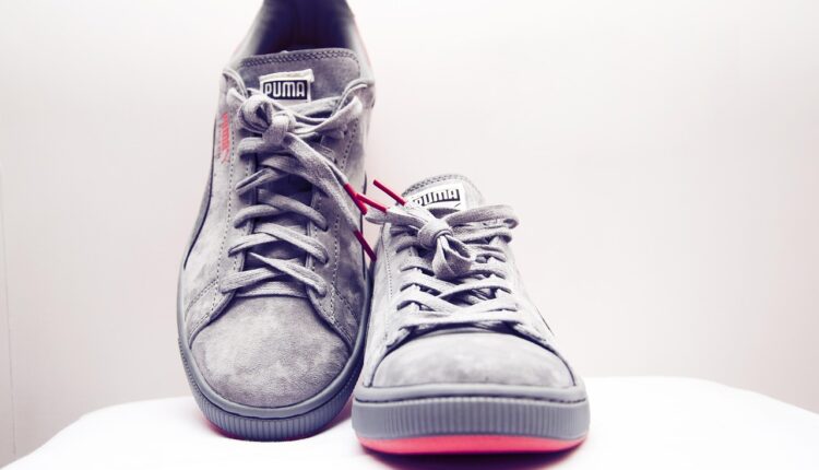 Sonhar com puma preto representa força interior e mistério oculto