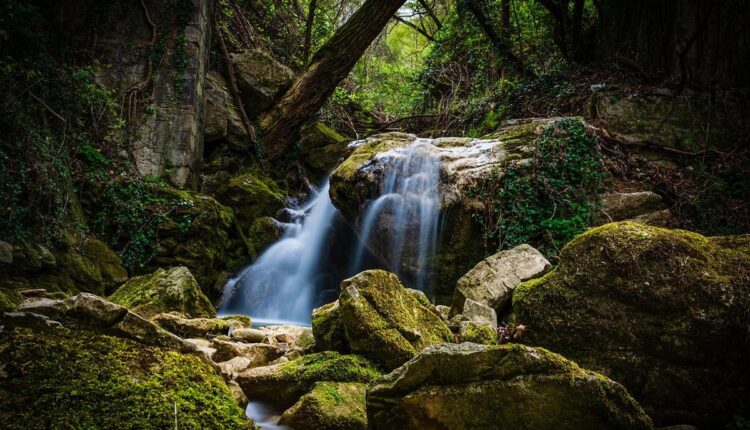 Descubra os Mistérios Aquáticos de um Paraíso Oculto no Brasil
