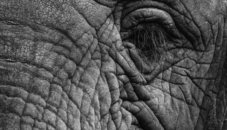 Sonhar com alergia no corpo revela rejeição a situações ou pessoas