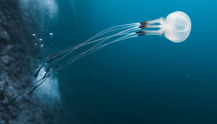 Sonhar com caixa de papelão revela segredos e potencial escondido