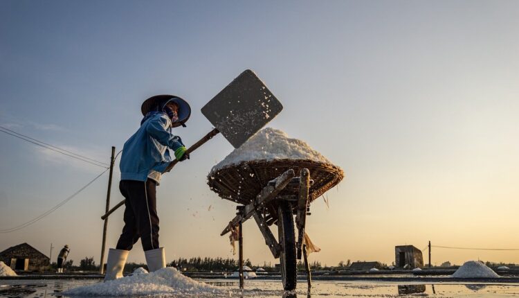 Sonhar com carrinho de mão simboliza esforço e progresso constante