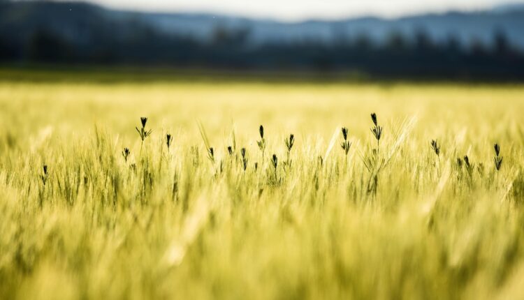 Sonhar com roupa amarela simboliza alegria, confiança e energia positiva