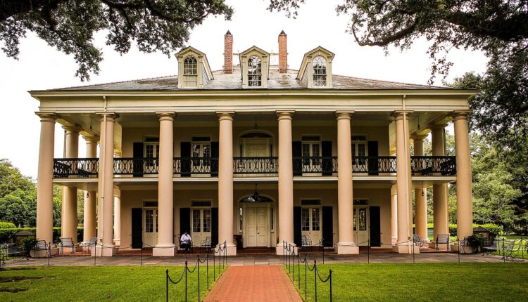 Sonhar com canavial simboliza fartura, prosperidade e bons resultados