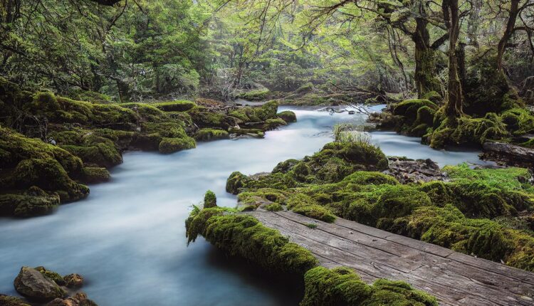 Sonhar com ponte quebrada alerta para obstáculos e dificuldades em conexões